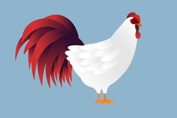 Illustration rooster. Cock symbol 2017 by the Chinese calendar. 
