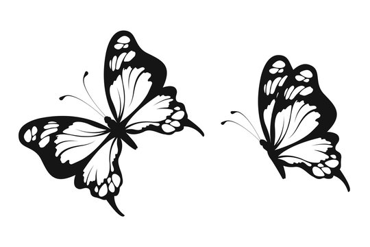 Butterfly pattern 