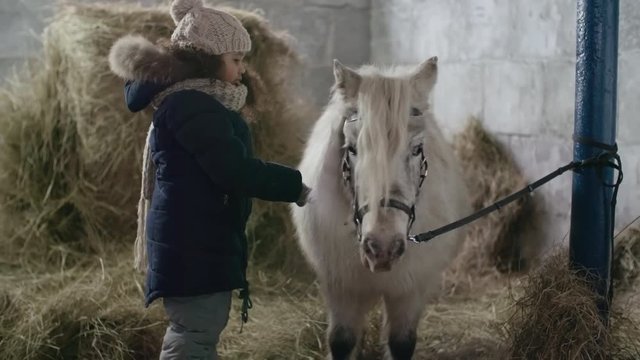 Little African-American girl with curly hair gently hugging pony in barn