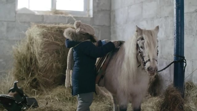 Little African-American girl throwing flannel saddle over back of small pony standing in barn, and then gently petting her