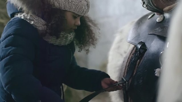 Tilt up of concentrated little African-American girl with curly hair adjusting saddle on back of pony standing in barn