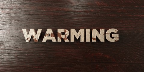 Warming - grungy wooden headline on Maple  - 3D rendered royalty free stock image. This image can be used for an online website banner ad or a print postcard.