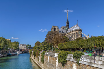 Fototapeta premium Notre Dame de Paris