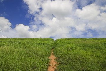 Stock Photo:.Grass Field Around Small walkway with Blue Sky.