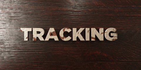 Tracking - grungy wooden headline on Maple  - 3D rendered royalty free stock image. This image can be used for an online website banner ad or a print postcard.