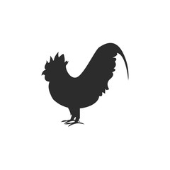 Vector of a Rooster or Chicken or Cock on White background