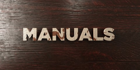 Manuals - grungy wooden headline on Maple  - 3D rendered royalty free stock image. This image can be used for an online website banner ad or a print postcard.