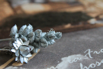 серебряные цветы, Фоновый, Текстура