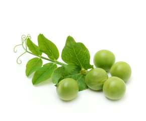 Green peas with leaves isolated on the white background