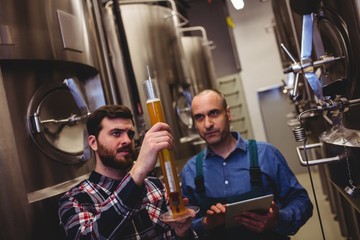 Manufacturer inspecting beer in tube with worker