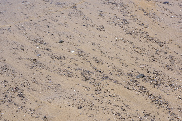 sand texture with small colored pebbles in the background