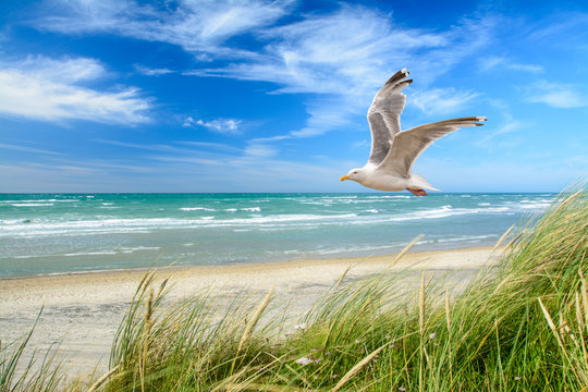 Strand am Meer