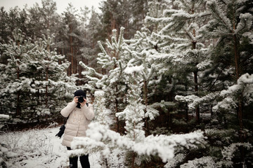 photographer to take pictures in the winter forest