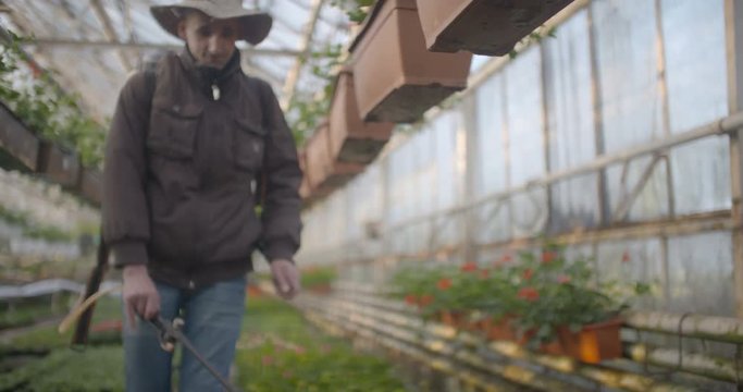 Worker watering flowers in 4K