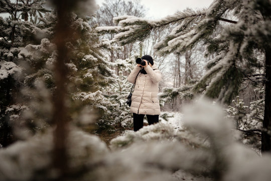 photographer to take pictures in the winter forest