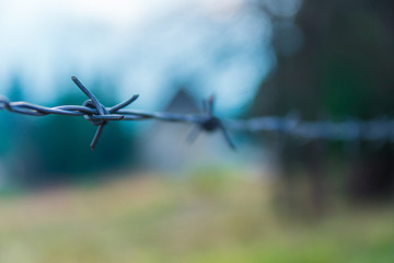 barbed wire