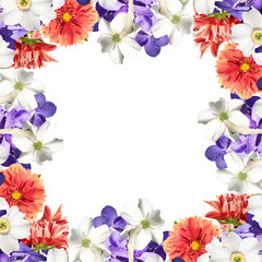 Beautiful floral background of daffodils, dahlias and orchids Vanda 