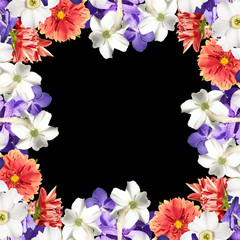 Beautiful floral background of daffodils, dahlias and orchids Vanda 