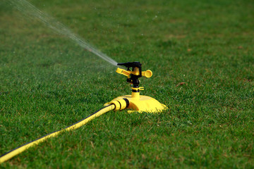 sprinkler spraying water