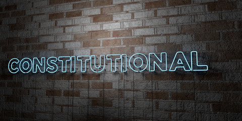 CONSTITUTIONAL - Glowing Neon Sign on stonework wall - 3D rendered royalty free stock illustration.  Can be used for online banner ads and direct mailers..