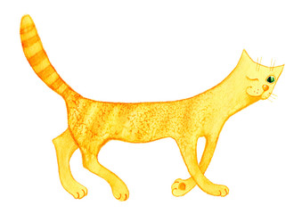 Red-headed cat, The Red-headed cat walking on a white background