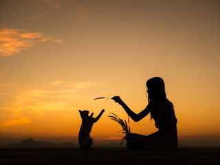 Silhouette of girl plays with her cat on the roof