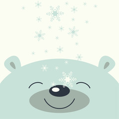 The cover design. Depicts face smile little polar bear on the white background. The falling snowflakes on the face polar bear.