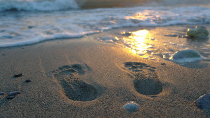 Foot print in the sand