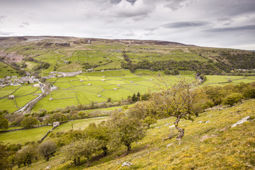 Obraz premium Yorkshire Dales landscapes