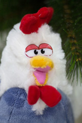 портрет петуха