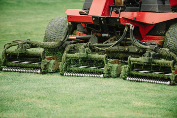 Fairway mower. Golf course maintenance equipment, fairway mower