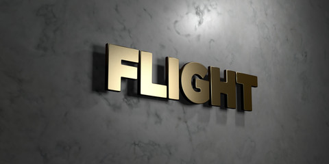 Flight - Gold sign mounted on glossy marble wall  - 3D rendered royalty free stock illustration. This image can be used for an online website banner ad or a print postcard.