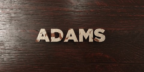 Adams - grungy wooden headline on Maple  - 3D rendered royalty free stock image. This image can be used for an online website banner ad or a print postcard.