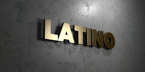 Latino - Gold sign mounted on glossy marble wall  - 3D rendered royalty free stock illustration. This image can be used for an online website banner ad or a print postcard.