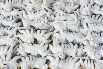 Many fresh octopus in seafood market, Thailand.