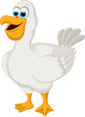 Cute duck cartoon