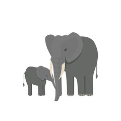 Cute little african elephant isolated on white. Baby animal african zoo vector illustration.