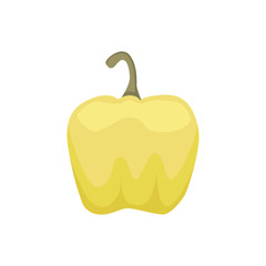 Vector Set of Colored Yellow Green Orange and Red Sweet Bulgarian Bell Peppers, Paprika Isolated