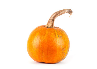 Pumpkin isolated on white 