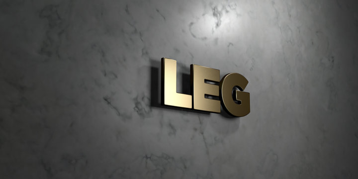Leg - Gold sign mounted on glossy marble wall  - 3D rendered royalty free stock illustration. This image can be used for an online website banner ad or a print postcard.