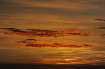 cielo