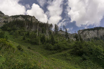 View of Belianske Tatry Mountains, Slovakia