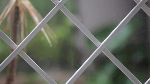 lluvia a traves del cristal