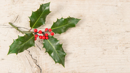 Holly ilex, christmas decoration, on a scaffolding wooden background