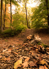 Herbstlandschaft