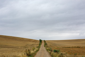 Fototapeta premium Road in Spain