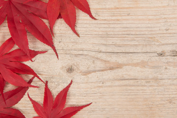 Red maple leaves as a border on a white washed scaffolding wooden planks background