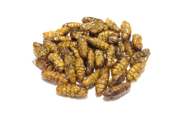 Fried silkworms pupae