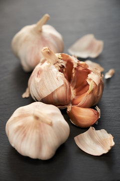 Closeup of garlic group