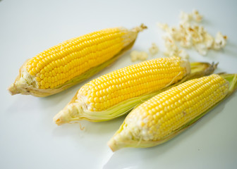 Corn